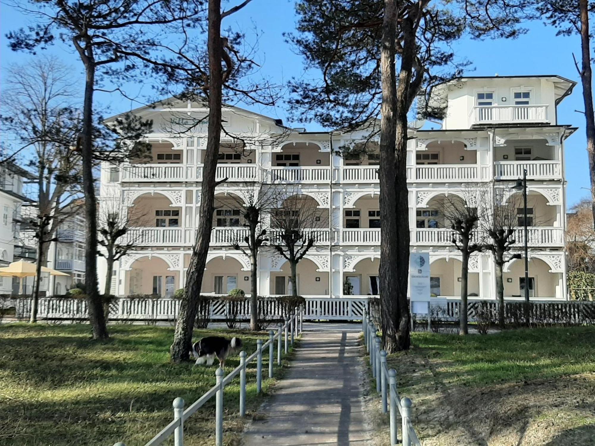 Ostseeblick In Der Seeadler Apartment Ostseebad Binz